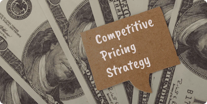 Competitive pricing for web development and digital services
